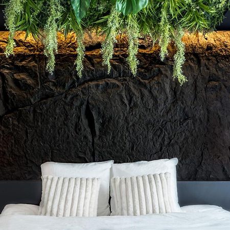 Apartament Le Petit Luxe - Hypercentre, Cinema, King Size Troyes Zewnętrze zdjęcie